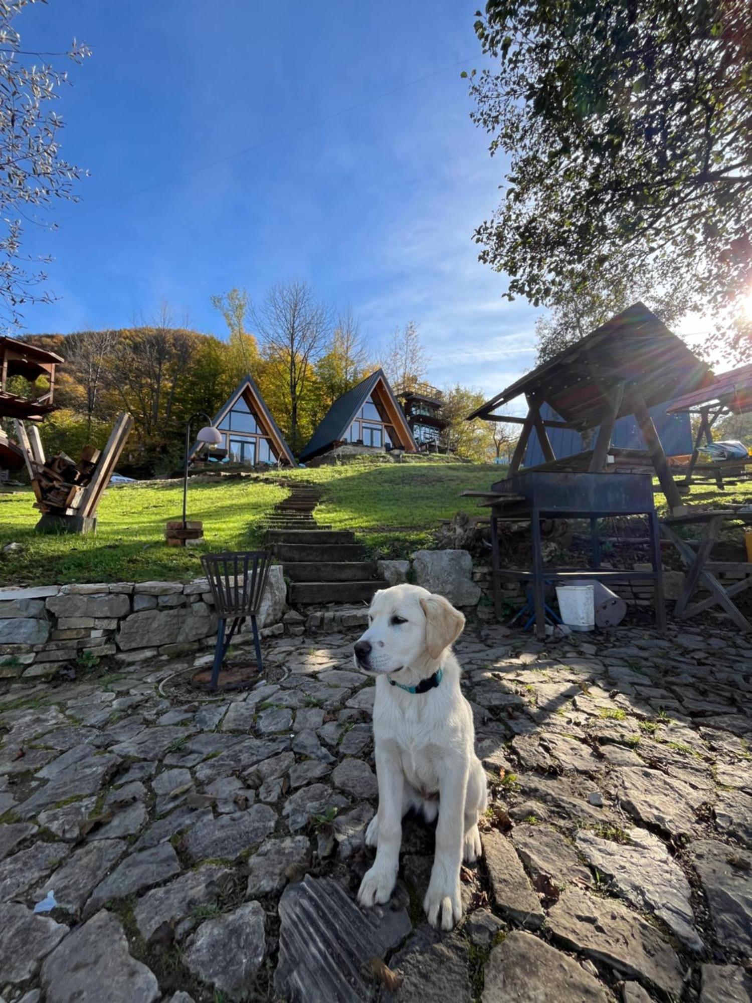 Vikendica - Rajski Poluotok Jajce Bagian luar foto